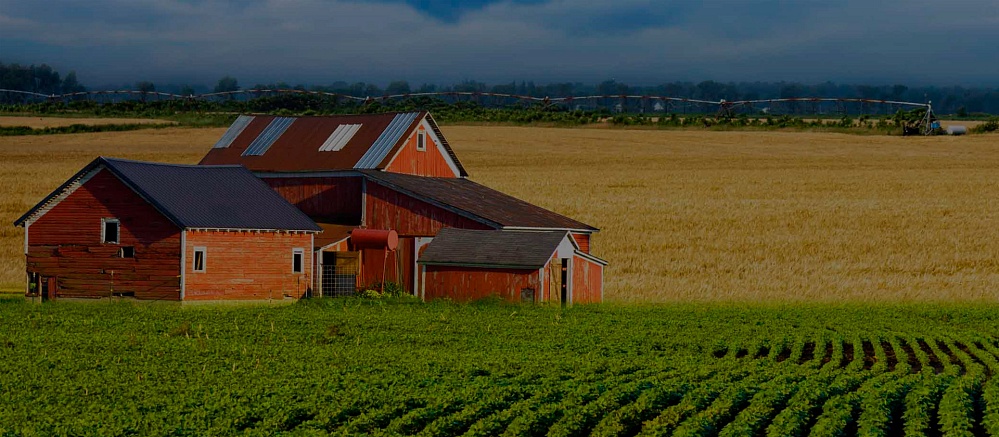 Оценка жилой недвижимости и земельных участков #CITY_PREPOSITIONAL#