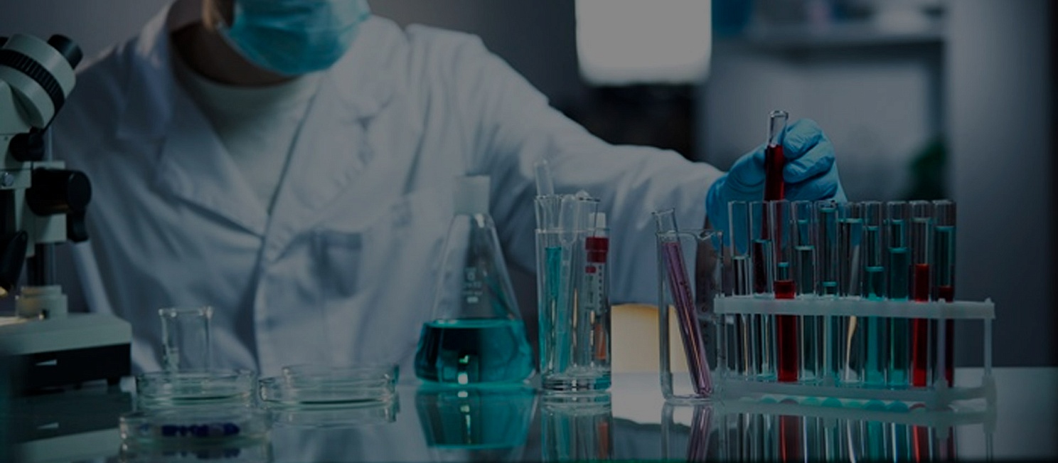 Направления судебной экспертизы в нашей компании: